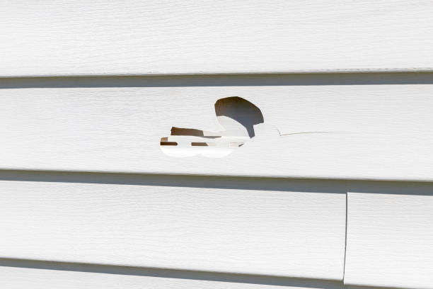 Reliable Saukville, WI Siding Solutions